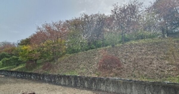 충청북도 영동군 영동읍 매천리 OOOOOO 전 경매 물건 이미지