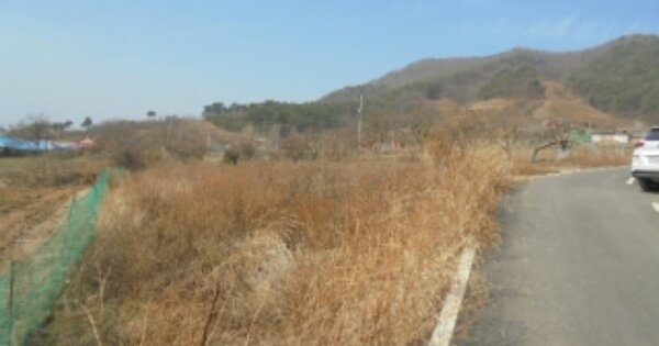 충청남도 부여군 내산면 천보리 OOO 전 경매 물건 이미지