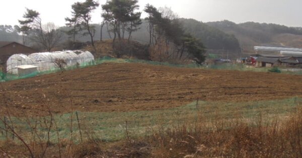 충청남도 부여군 내산면 천보리 OOO 전 경매 물건 이미지