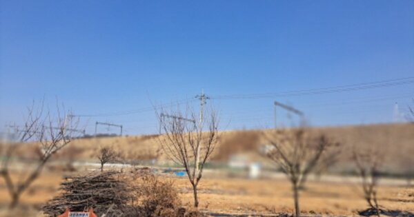 경기도 시흥시 하중동 OOOOO 답 경매 물건 이미지