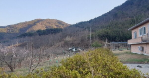 전라남도 순천시 승주읍 남강리 OOOOO 전 경매 물건 이미지