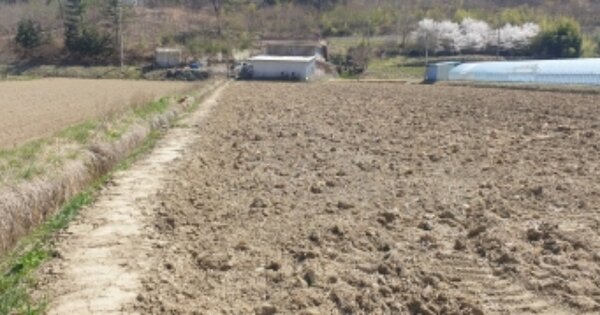 전라남도 보성군 복내면 계산리 OOOOOO 답 경매 물건 이미지