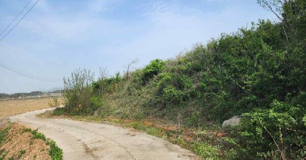 충청남도 서천군 화양면 완포리 OOO O OOO 임야 경매 물건 이미지