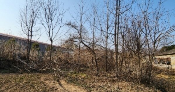 경기도 양주시 광적면 덕도리 OOOOO 전 경매 물건 이미지