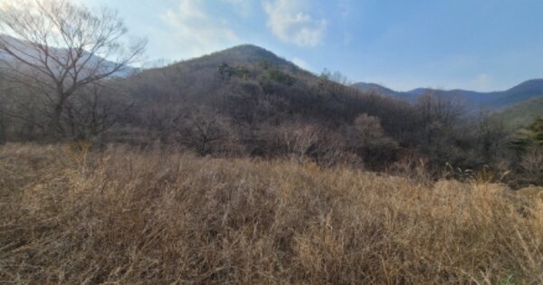 경상북도 영천시 화산면 당지리 OOO O OOO 전 경매 물건 이미지