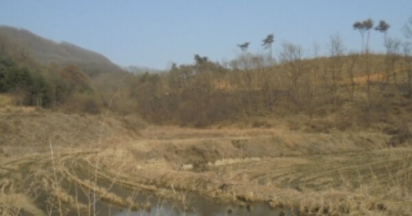 충청북도 진천군 진천읍 사석리 OOO 답 경매 물건 이미지