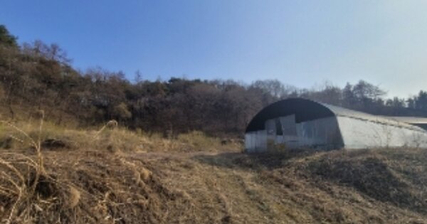 충청북도 괴산군 불정면 세평리 OO O OOO 답 경매 물건 이미지