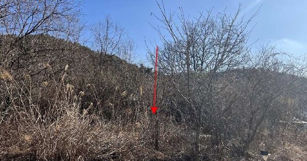 충청북도 제천시 수산면 하천리 OOOOO 임야 경매 물건 이미지