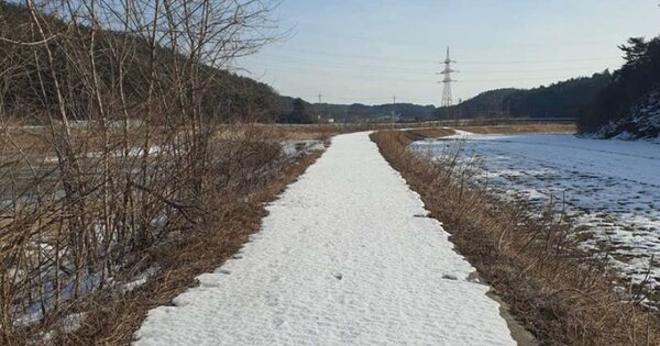 강원도 양양군 현남면 입암리 OOOOO O OOO 답 경매 물건 이미지
