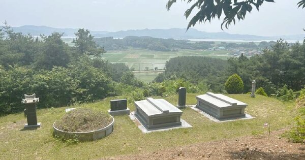 충청남도 서천군 화양면 월산리 OOOOO 임야 경매 물건 이미지