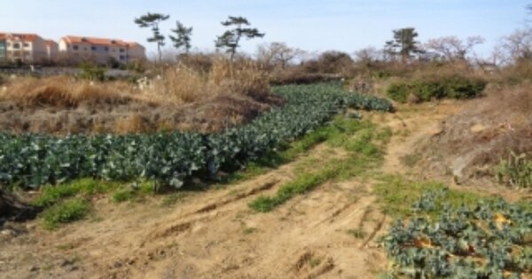 제주특별자치도 제주시 한림읍 대림리 OOOO 전 경매 물건 이미지