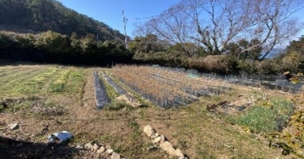 경상남도 통영시 한산면 비진리 OOO O OOO 전 경매 물건 이미지