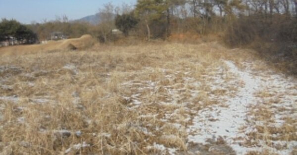 충청북도 음성군 삼성면 양덕리 OOOOO O OOO 전 경매 물건 이미지