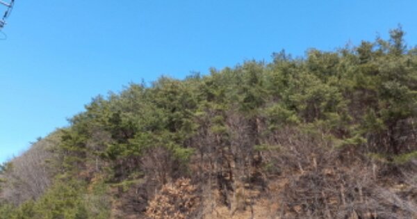 경상남도 산청군 시천면 신천리 OOOO 임야 경매 물건 이미지