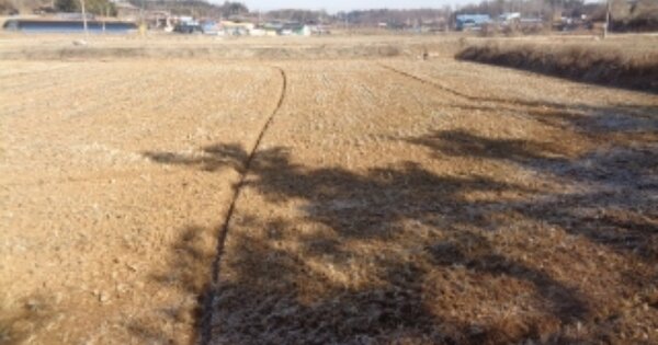 전라북도 김제시 황산면 남산리 OOOOO 답 경매 물건 이미지