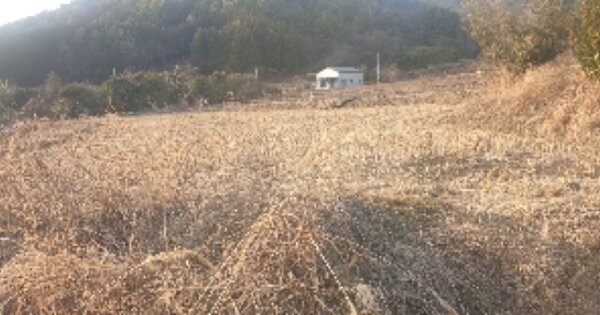 전라남도 고흥군 포두면 상대리 OOOO 답 경매 물건 이미지