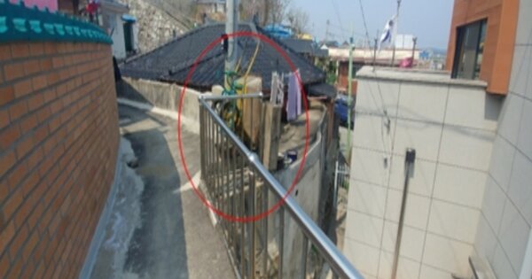 강원도 강릉시 입암동 OOOOOOO 대지 경매 물건 이미지