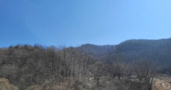 충청북도 괴산군 불정면 외령리 OO 임야 경매 물건 이미지