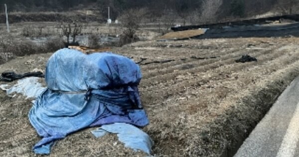 충청북도 보은군 산외면 이식리 OO O OOO 전 경매 물건 이미지