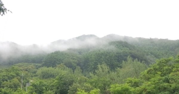 강원도 양구군 국토정중앙면 원리 OOO 임야 경매 물건 이미지