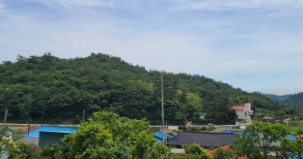 전라남도 진도군 의신면 칠전리 OOOO O OOO 임야 경매 물건 이미지