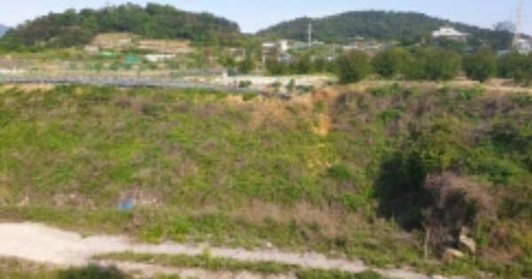 전라남도 여수시 선원동 OOOOOO 답 경매 물건 이미지
