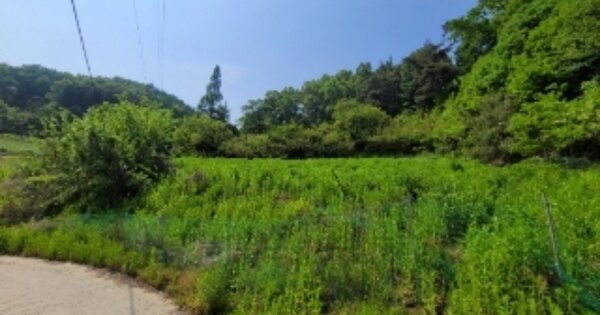 충청북도 괴산군 괴산읍 서부리 OOO 전 경매 물건 이미지