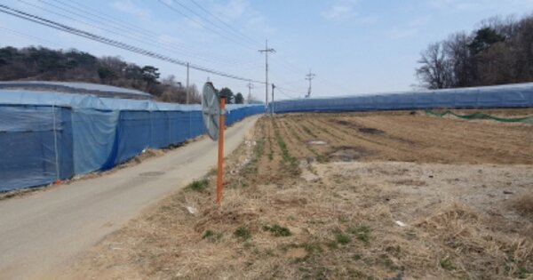 경기도 화성시 송산면 마산리 OOOOO 도로 경매 물건 이미지