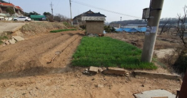 경기도 화성시 우정읍 이화리 OOO 단독주택 경매 물건 이미지