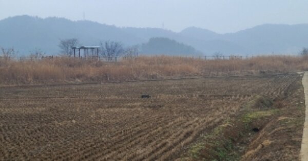 전라남도 나주시 동강면 옥정리 OOOOO 답 경매 물건 이미지