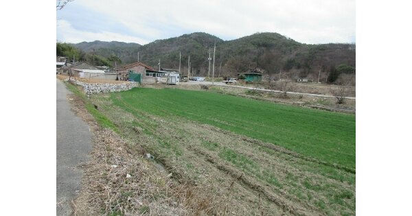 전라남도 장성군 서삼면 송현리 OOOOO O OOO 답 경매 물건 이미지