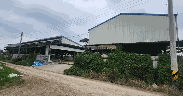 경상남도 김해시 한림면 장방리 1299-1  미지정 경매 물건 이미지