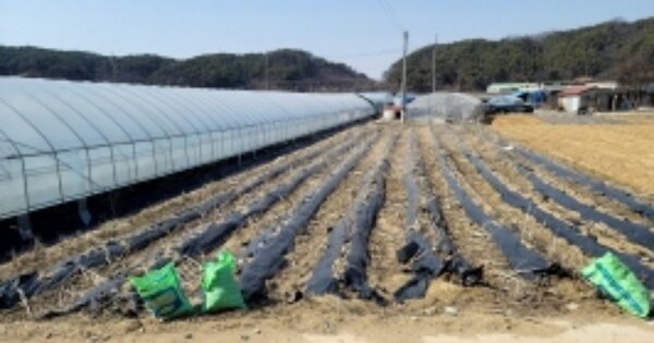 충청남도 천안시 동남구 병천면 용두리 OOOOO 전 경매 물건 이미지