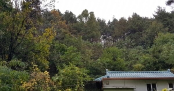 경상북도 안동시 신안동 OOOOO 임야 경매 물건 이미지