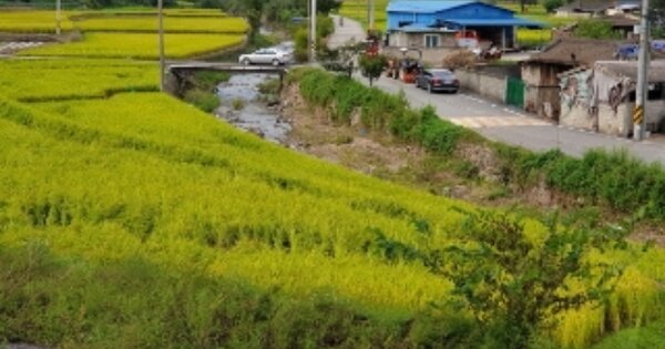 경상북도 경주시 건천읍 용명리 OOO 답 경매 물건 이미지