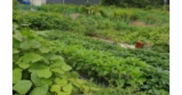 울산광역시 울주군 삼남면 방기리 OOOOO O OOO 대지 경매 물건 이미지
