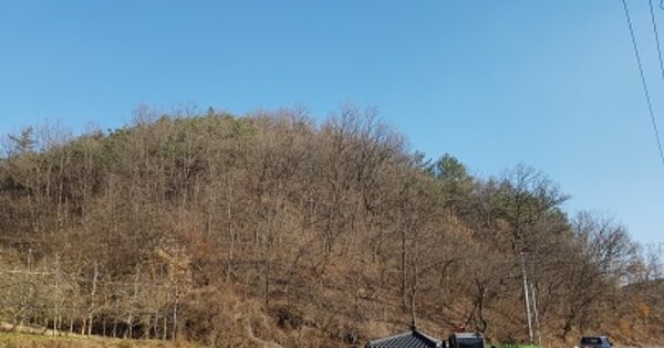 경상북도 의성군 사곡면 화전리 OOOO O OOO 임야 경매 물건 이미지