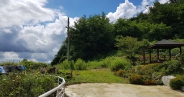 경상북도 영주시 풍기읍 금계리 OOOOO O OOO 단독주택 경매 물건 이미지
