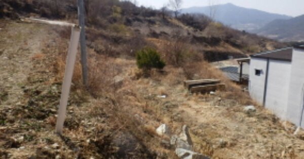 경상남도 산청군 산청읍 차탄리 OO O OOO 임야 경매 물건 이미지