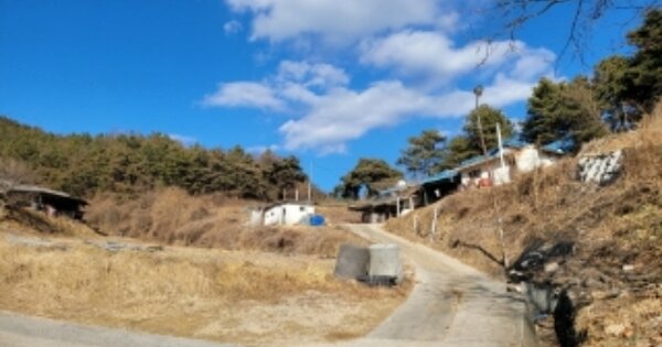 경상북도 영주시 평은면 오운리 OOOO O OOO 임야 경매 물건 이미지