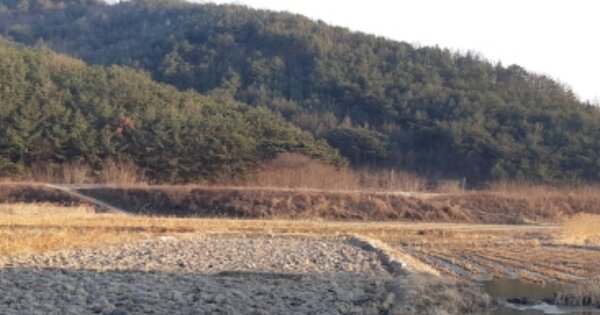 대구광역시 달성군 구지면 오설리 OOO 전 경매 물건 이미지