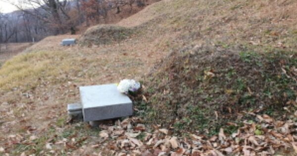 경기도 양주시 백석읍 기산리 OOO 임야 경매 물건 이미지