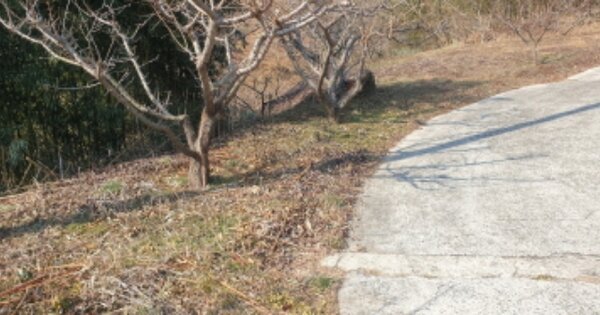 전라남도 광양시 옥곡면 대죽리 OOOO O OOO 임야 경매 물건 이미지