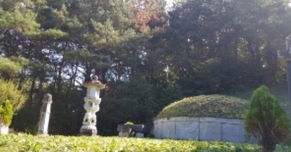 경상북도 안동시 와룡면 가구리 OOOOO 임야 경매 물건 이미지