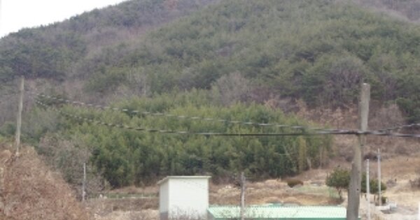 경상남도 의령군 지정면 득소리 OOO 전 경매 물건 이미지