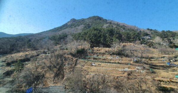 경상남도 창원시 마산합포구 자산동 OOOOO 과수원 경매 물건 이미지
