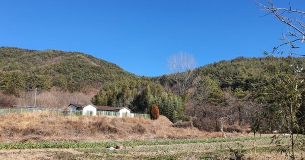 경상남도 창원시 마산합포구 진전면 봉곡리 OOO 전 경매 물건 이미지