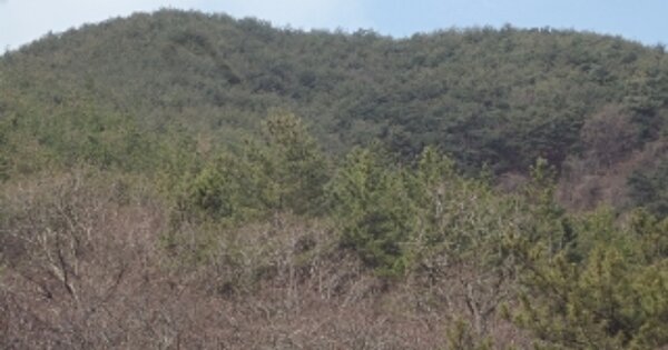 경상남도 창녕군 남지읍 고곡리 OOOO 임야 경매 물건 이미지