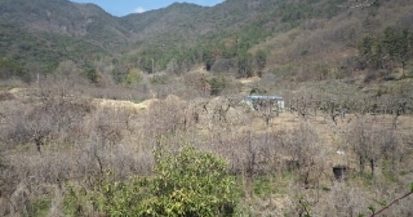 경상남도 밀양시 상동면 안인리 OOO O OOO 답 경매 물건 이미지