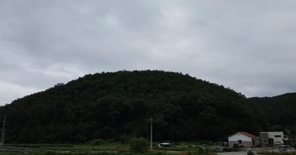 경상북도 의성군 점곡면 윤암리 OOO 임야 경매 물건 이미지
